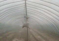 农户借鉴上海中心大厦的阻尼器设计，自制沙袋阻尼装置以抵御暴风侵袭