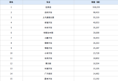 惊爆！2 月最畅销车型 TOP10 揭晓，小米 S