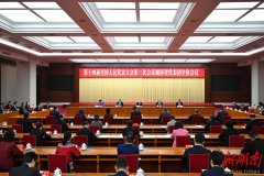 湖南代表团放大招！分组会议与第五次全体