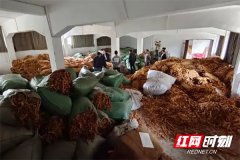 株洲破获亿元假烟电诈案