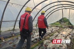 国网株洲天元供电：党员服务队护航春耕 “及时雨”